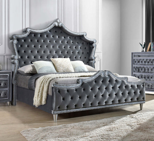 Antonella Upholstered Tufted Eastern King Bed Grey - imattress & ifurniture (FL)