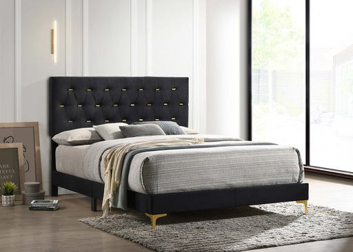 Kendall Tufted Panel Bed Black and Gold - imattress & ifurniture (FL)