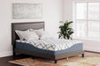 14 Inch Chime Elite 2.0 Mattress - imattress & ifurniture (FL)