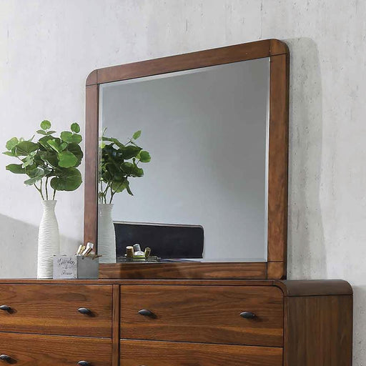 Robyn Rectangular Dresser Mirror Dark Walnut - imattress & ifurniture (FL)