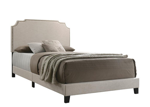 Tamarac Upholstered Nailhead Queen Bed Beige - imattress & ifurniture (FL)