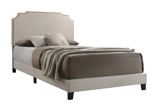 Tamarac Upholstered Nailhead Eastern King Bed Beige - imattress & ifurniture (FL)