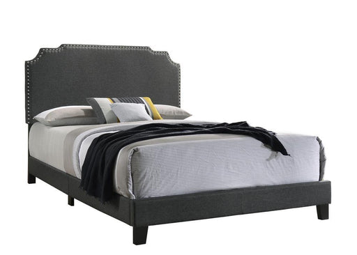 Tamarac Upholstered Nailhead Queen Bed Grey - imattress & ifurniture (FL)