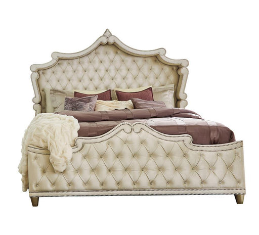 Antonella Upholstered Tufted Eastern King Bed Ivory and Camel - imattress & ifurniture (FL)