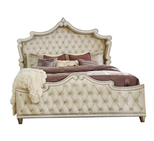 Antonella Upholstered Tufted California King Bed Ivory and Camel - imattress & ifurniture (FL)