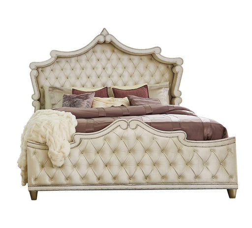 Antonella Upholstered Tufted Queen Bed Ivory and Camel - imattress & ifurniture (FL)