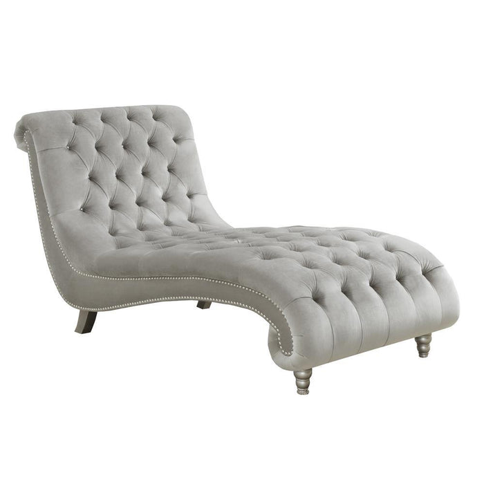 Lydia Tufted Cushion Chaise with Nailhead Trim Grey - imattress & ifurniture (FL)